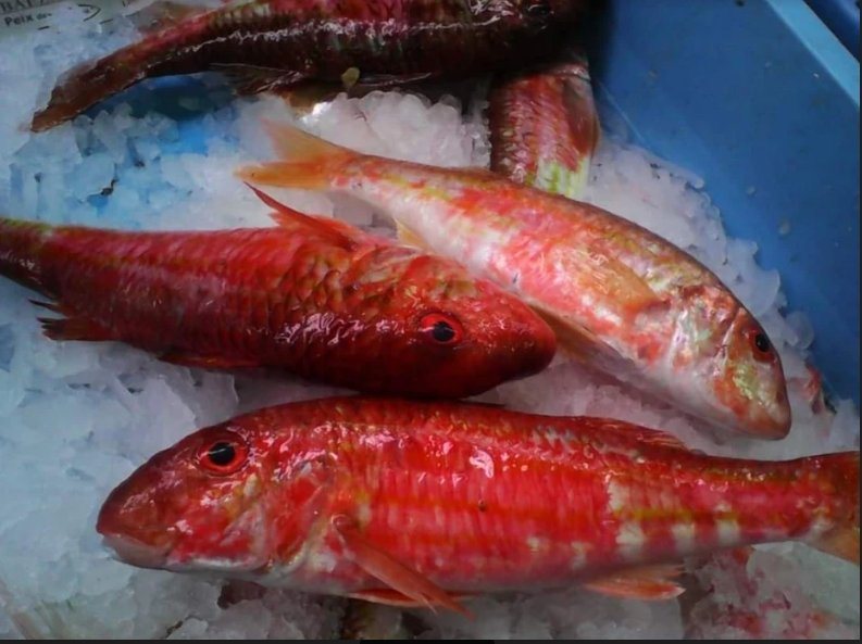 PESCADOS Y MARISCOS BAEZA